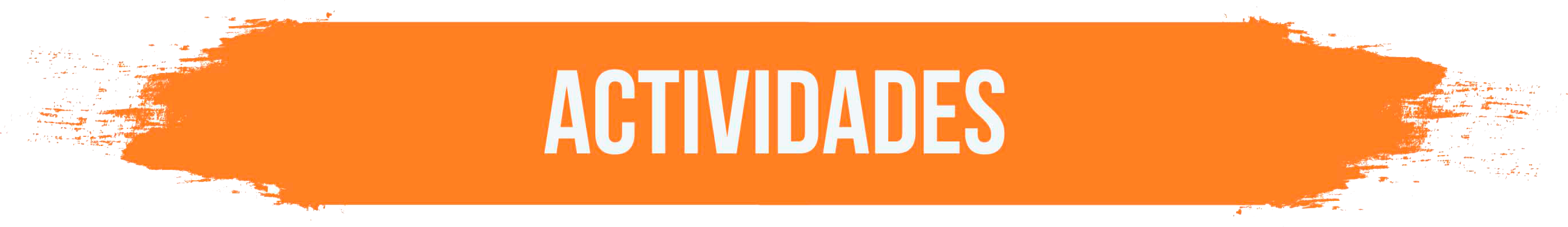 Actividades del área de salud